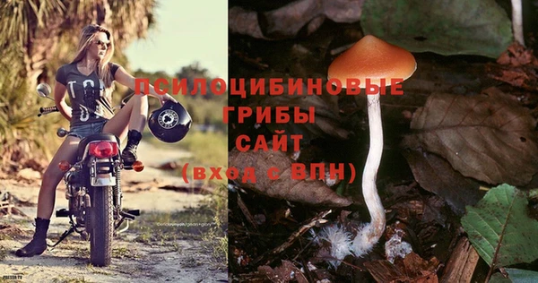 крисы Арсеньев