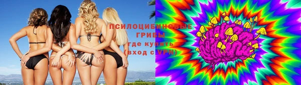 стаф Армянск