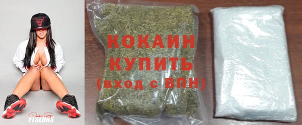 индика Балабаново