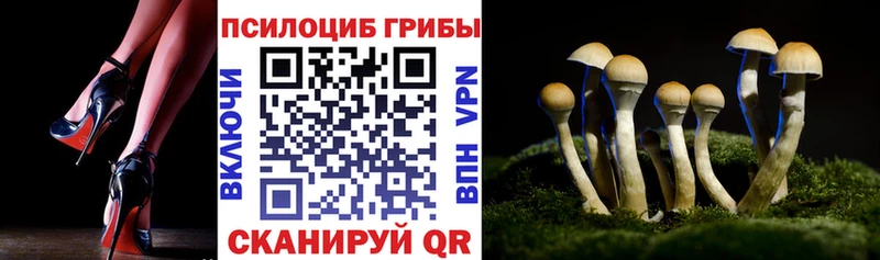 Псилоцибиновые грибы прущие грибы  где купить   Мариинский Посад 